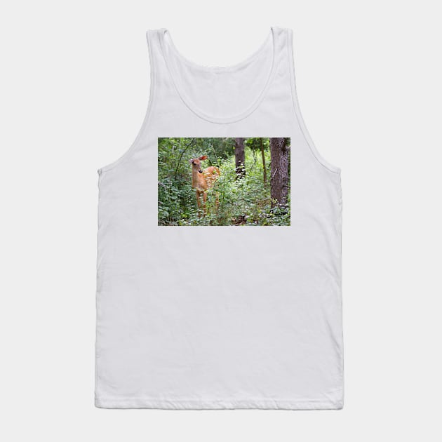 Innocence - White-tailed deer Tank Top by Jim Cumming